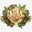 Maroc Bio Pharma logo