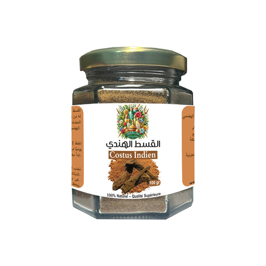 Costus Indien (Saussurea costus) القسط الهندي : Un Remède Naturel et Ancestral - Maroc Bio Pharma