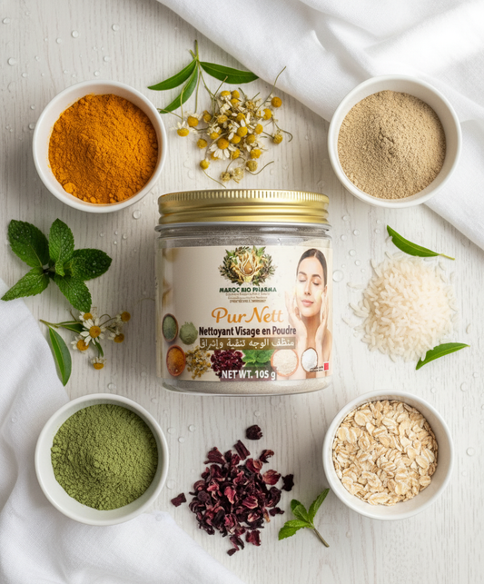 PurNett composition finale