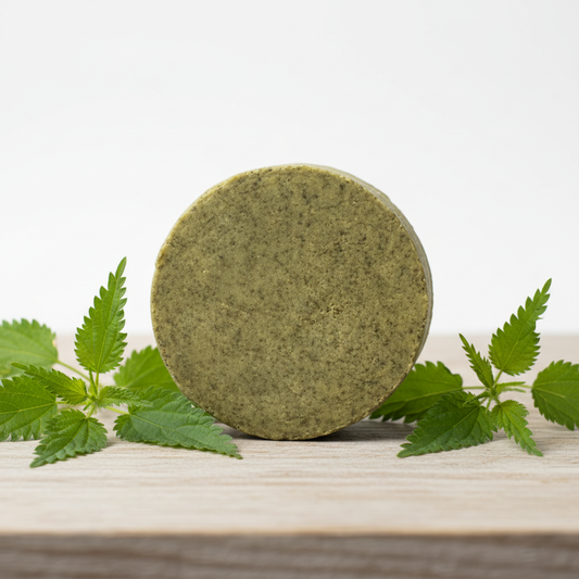 Shampoing réel - Bois